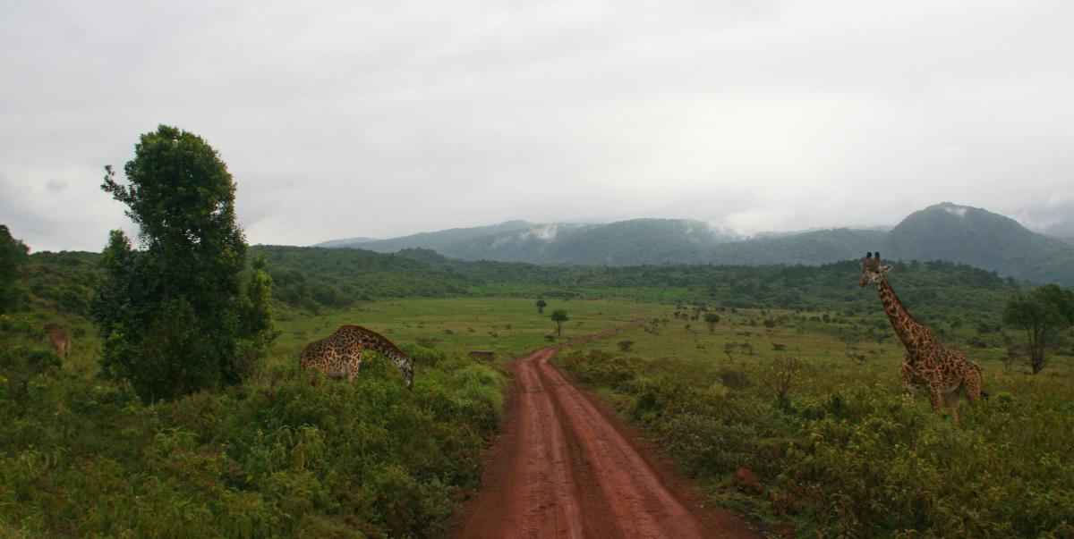 arusha NP tanzania romina facchi exploringafrica safariadv safari travel