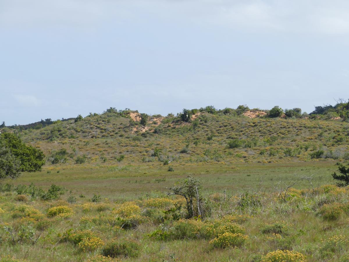 isimangaliso