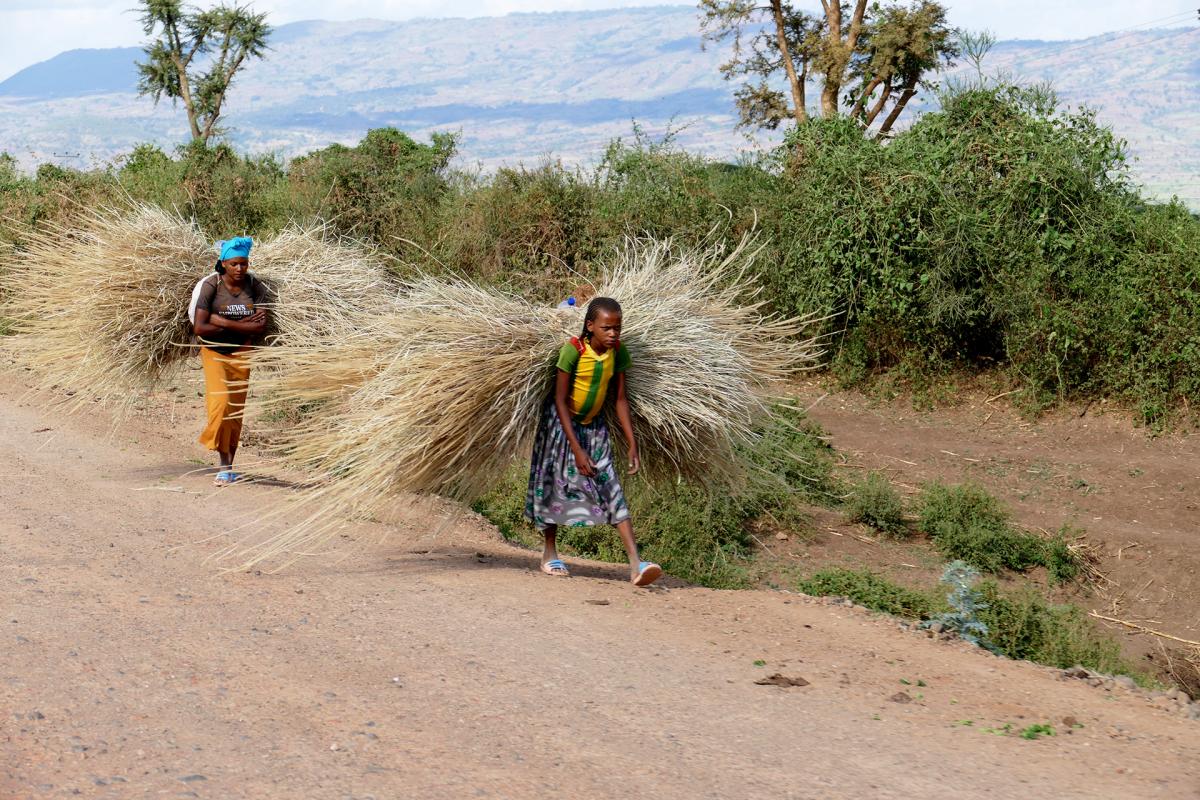 etiopia ethiopia exploringafrica safariadv travel omo valley mursi hamar kara dassanech konso